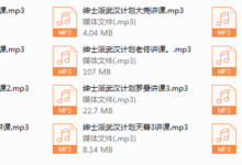 绅士派《武汉计划3天2夜》-干物库