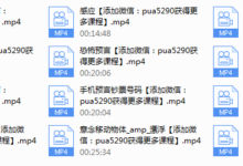 源靖 ICRS社交魔术-干物库