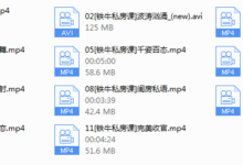 2018年闺房秘术私教课-干物库
