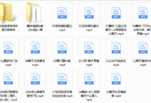 2019年舞步情感私教-干物库
