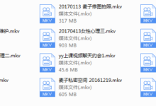 2017年麦子私教（新版）-干物库