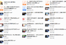 恋爱行为系-干物库