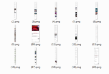 猎爱21天魔鬼训练营-干物库