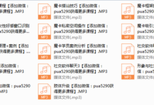 魔卡北京面授课录音-干物库