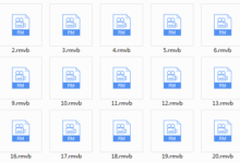 七烟小狗现场分享会1-21-干物库