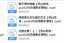 恋爱启示录-干物库