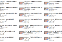 罗南希《爱的抚触》训练营1+2+3模块-干物库