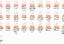 leo价值模型-干物库