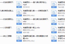 完美男友VIP会员——梵公子-干物库
