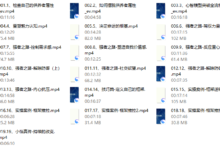 小怡《供养者翻盘—强者框架课》-干物库