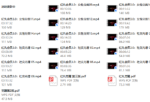 红丸会员3.0Plus（更新中）-干物库