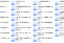 情叔叔《恋爱经》-干物库