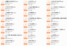 路易团队基础课音频-干物库