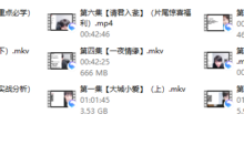 yy网聊备忘录-干物库