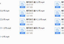 魔卡《聊天技巧》完整版-干物库