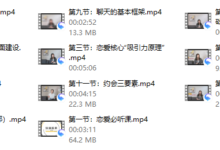 恋爱必备攻略-干物库