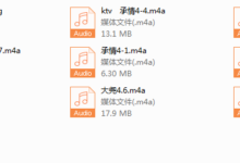 浪迹蓉城计划完整线下录音-干物库