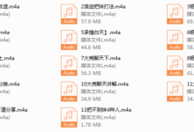 浪迹最新蓉城计划完整线下录音-干物库