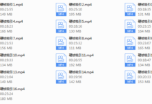 偷先生私教-硬核吸引-干物库