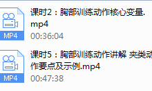 一介粗人【胸部进阶】精准动作系列视频课程(完结)-干物库