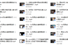 鸭哥——普通人打造明星质感照片-干物库