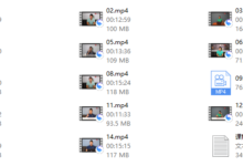 瑞恩恋爱学院-干物库