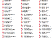 武志红92个成功心法  把事情做好的心理学课-干物库