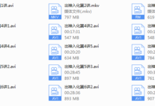 乌鸦救赎-出神入化视频-干物库
