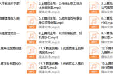 成功男人的A.B面15节-干物库