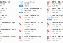 snapseed 手机摄影后期私教班内部课件-干物库