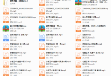 蓝色答案《恋爱解码2.0》-干物库