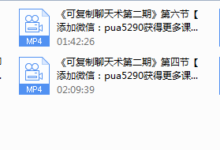 PUANEY可复制聊天课-干物库