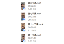 宋奇hong老师 心猿意马沟通课十一节【拴马桩】-干物库