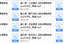 恋爱基础视频课-干物库