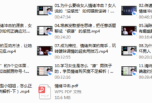 爱上情感《情绪冲击》-干物库