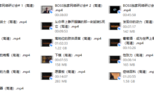 麦迪森 BOSS-干物库