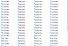 聊天地图-干物库