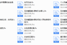 2018年Feeling情感学院《高级VIP网络课程》-干物库