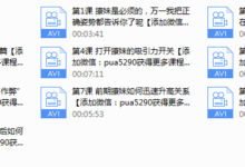 PUANEY倪《约她》-干物库