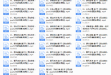 路易团队2017追逐直播课-干物库