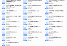 付费专栏《28天脱单秘籍》-干物库