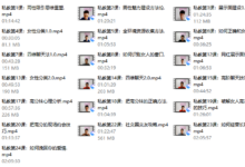 晓辉恋爱私人定制课-干物库