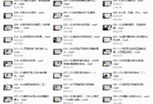 恋爱补习班《情圣进阶提升课—教你用导师思维解决自己的情感问题》-干物库