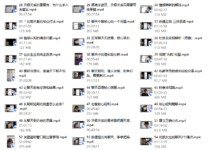 林老头《精华直播案例内部完整版》2023-干物库