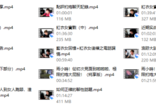 浪迹《实战聊天回访视频》-干物库