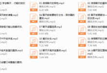 微信聊天撩妹秘笈 完结-干物库