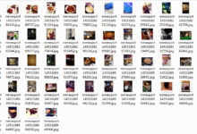 浪迹教育《私教120000展示面素材》-干物库