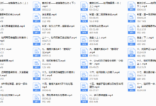 老吴《中级情感私教》-干物库