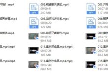 艾伦聊天方法《傻瓜聊天课》-干物库