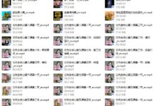 染色体《它先生门徒核心课》-干物库